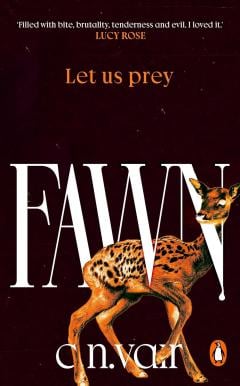 Fawn
