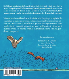 Misteriosul cavaler Fara-de-Nume