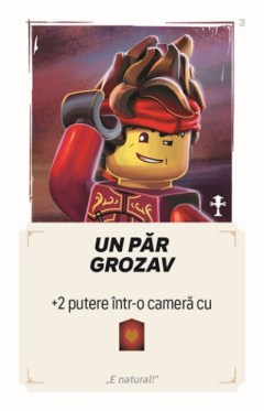 Joc de societate - LEGO Ninjago Destiny's Bounty Adventures (RO)