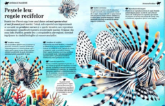 Marea carte despre animale marine