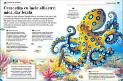Marea carte despre animale marine