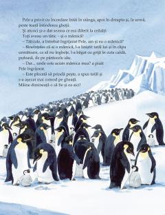 Pele, micul pinguin