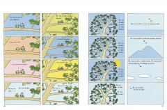 Gandurile unei broscute