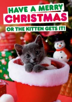 Felicitare - Have a Merry Christmas or the kitten gets it 