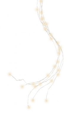 Ghirlanda de luminite - 160 Micro LED Lights Bunch Warm White Silver Wire - Outdoor