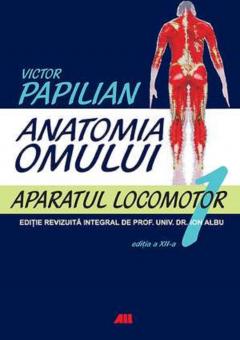 Anatomia omului - Aparatul locomotor