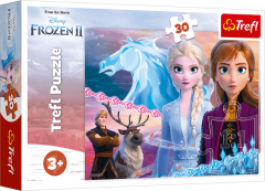 Joc - Puzzle 30 Piese - Frozen 2 Courage of the sisters