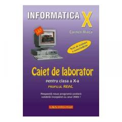 Coperta cărții Vlad Hutanu / Manual De Informatica Cls Xi Intensiv# 9789737658067