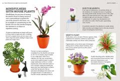 RHS Little Book of Happy Houseplants