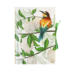 Carnet pentru schite - The Eden Project Portico Designs