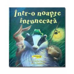 Intr-o Noapte Intunecata