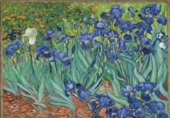 Magnet - Van Gogh - Les Iris