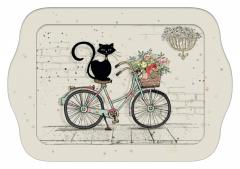 Tava mica - Chat Sur Velo