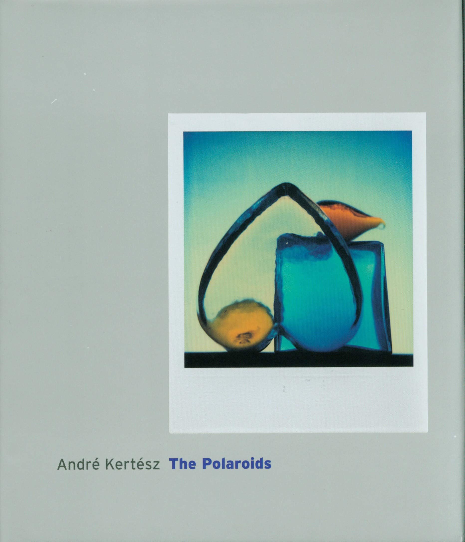Andre Kertesz The Polaroids Andre Kertesz