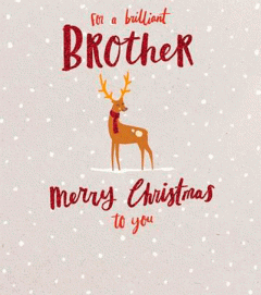 Felicitare - Jolly Holly - Brother