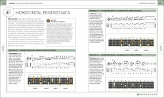 Beginner's Step-by-Step Guitar