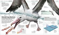 Knowledge Encyclopedia Ocean