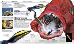 Knowledge Encyclopedia Ocean
