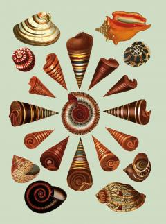 The Antiquarian Sticker Book