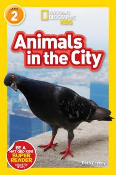 Coperta cărții Animals in the City (L2)