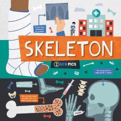 SKELETON