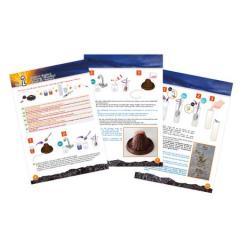 Joc experimente stiintifice - Vulcani si dinozauri