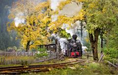 Puzzle - Mocanita Hutulca, 48 piese