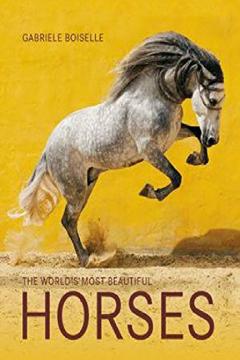 The World's Most Beautiful Horses