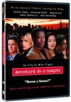 Aventura de o noapte / One Night Stand