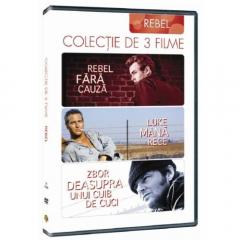 Colectie 3 DVD Rebel fara cauza + Luke mana rece + Zbor deasupra unui cuib de cuci