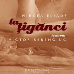 La Tiganci - Audiobook