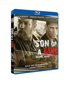 Ucenic pentru crima (Blu-Ray Disc) / Son of a Gun