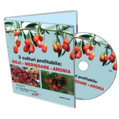 3 culturi profitabile - Goji, Merisoare, Aronia