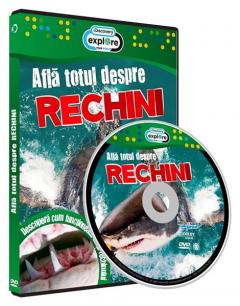 Afla totul despre Rechini