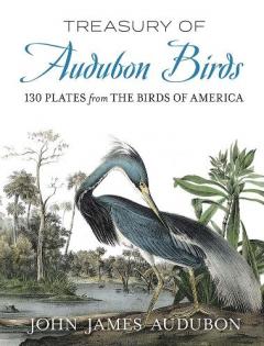 Coperta cărții Treasury of Audubon Birds