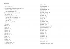 The Tree Angel Oracle Deck