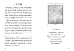 The Tree Angel Oracle Deck