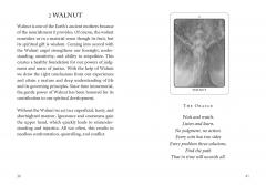 The Tree Angel Oracle Deck