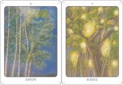 The Tree Angel Oracle Deck