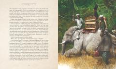 Around the World in Eighty Days