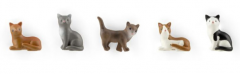 Set 5 magneti - Pisici