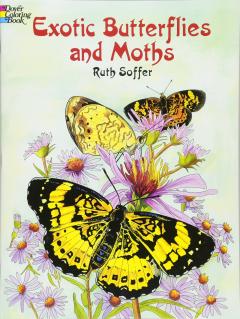 Exotic Butterflies and Moths CB