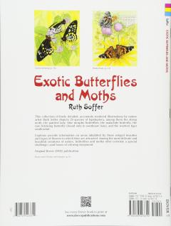 Exotic Butterflies and Moths CB