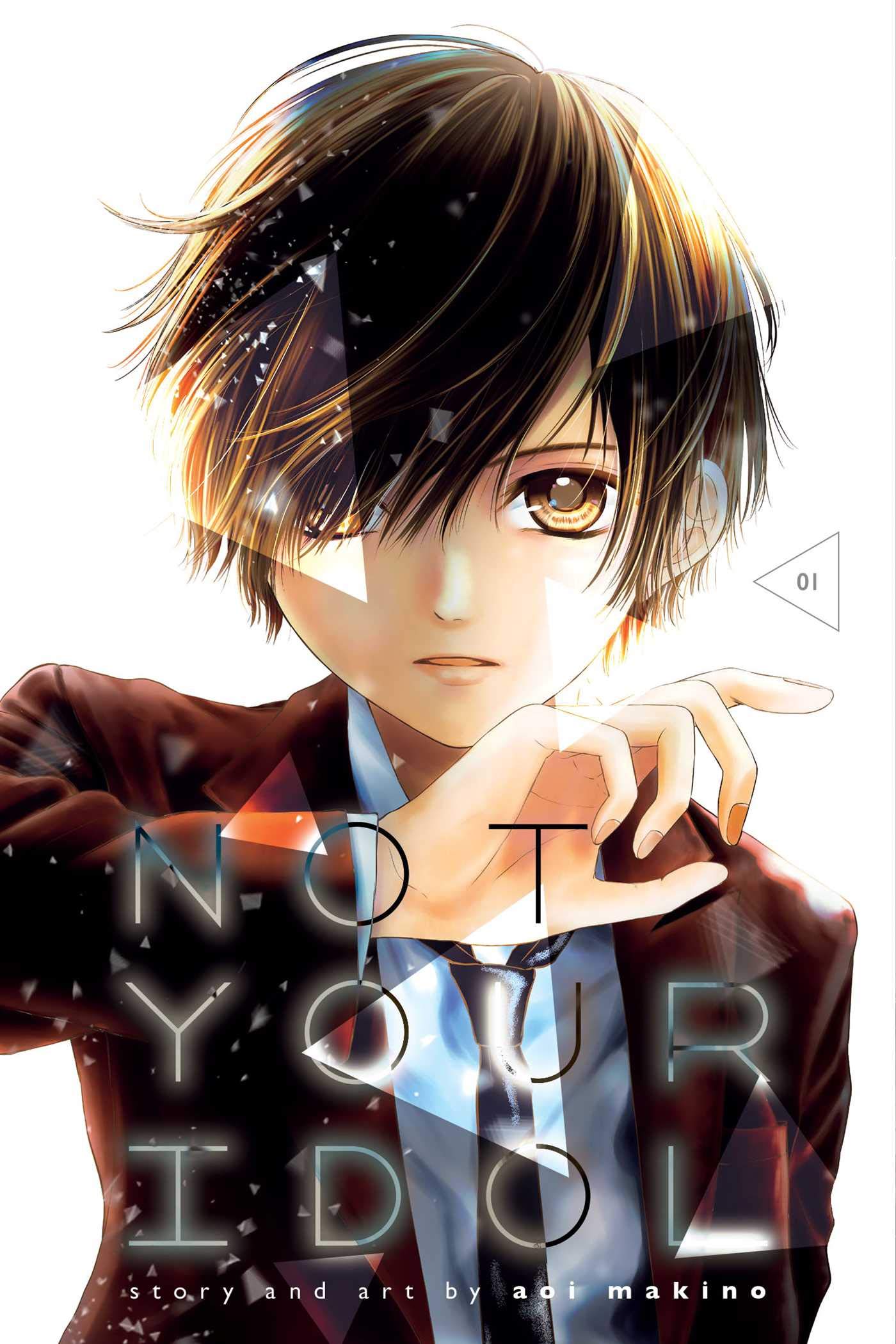 Not Your Idol - Volume 1