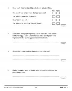 KS2 English SAT Buster 10-Minute Tests - Reading