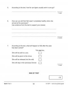 KS2 English SAT Buster 10-Minute Tests - Reading