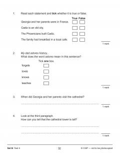 KS2 English SAT Buster 10-Minute Tests - Reading