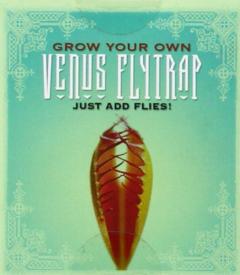 Grow Your Own Venus Fly Trap Sara Phillips
