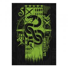 Mini Poster metal - Slytherin Harry Potter