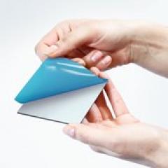 Poster metal L format - Totoro 